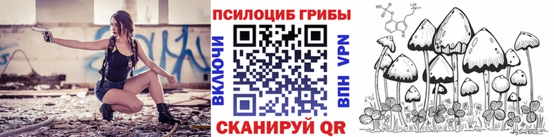 дарнет шоп Дербент Галлюциногенные грибы GOLDEN TEACHER