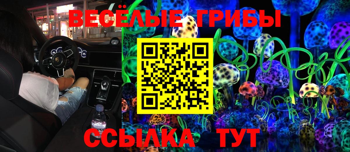 Галлюциногенные грибы MAGIC MUSHROOMS Дербент