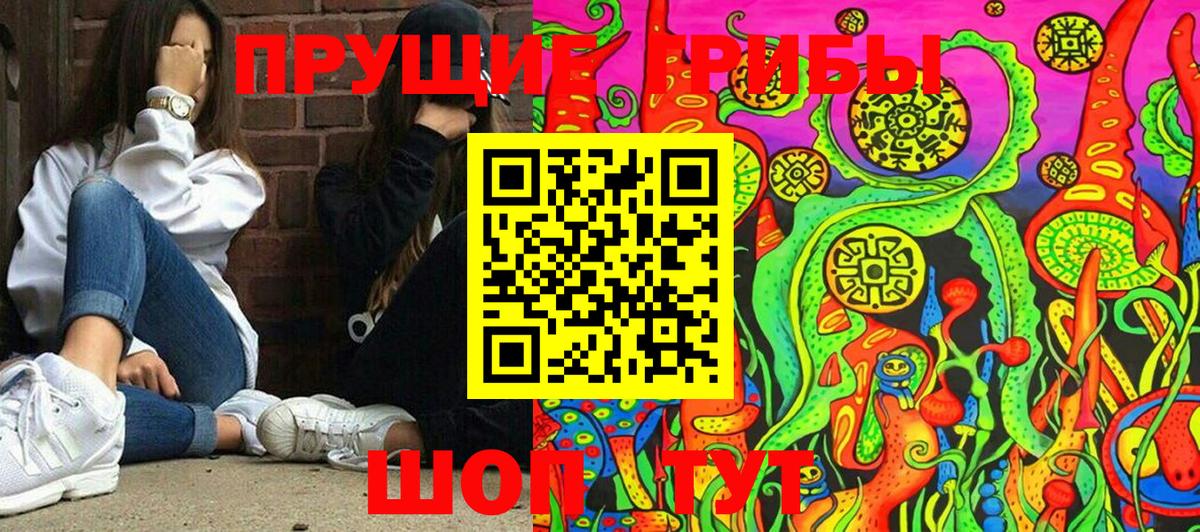 Псилоцибиновые грибы Psilocybe  Псилоцибиновые грибы GOLDEN TEACHER  Вход с VPN  Дербент 